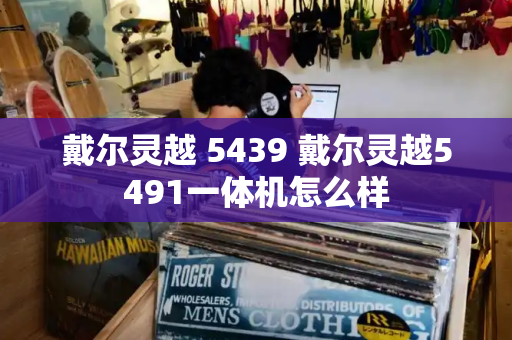 戴尔灵越 5439 戴尔灵越5491一体机怎么样