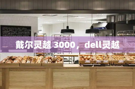 戴尔灵越 3000，dell灵越