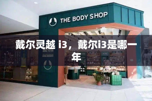 戴尔灵越 i3，戴尔i3是哪一年-第1张图片-星选测评