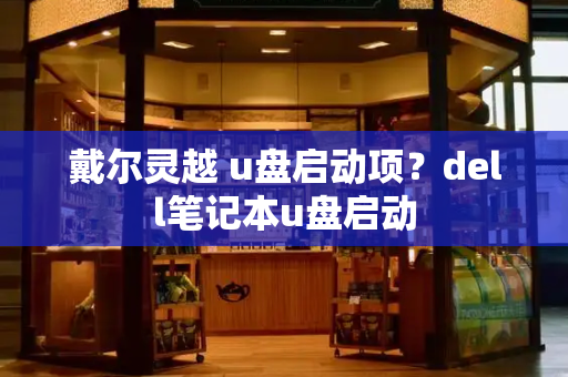 戴尔灵越 u盘启动项？dell笔记本u盘启动