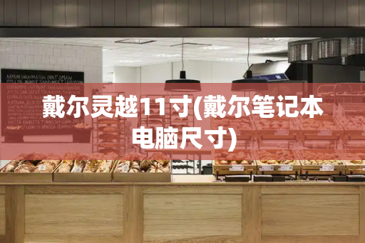 戴尔灵越11寸(戴尔笔记本电脑尺寸)-第1张图片-星选测评