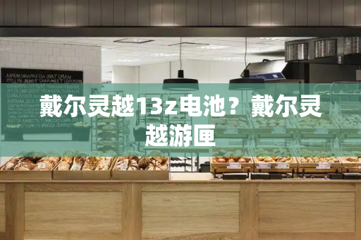 戴尔灵越13z电池？戴尔灵越游匣-第1张图片-星选测评