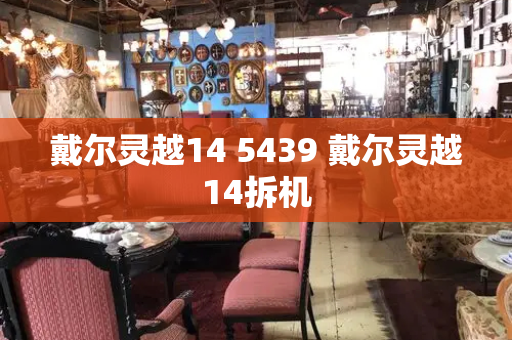戴尔灵越14 5439 戴尔灵越14拆机-第1张图片-星选测评