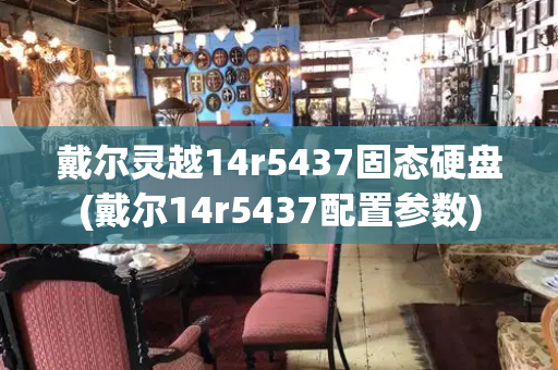 戴尔灵越14r5437固态硬盘(戴尔14r5437配置参数)