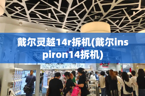 戴尔灵越14r拆机(戴尔inspiron14拆机)-第1张图片-星选测评