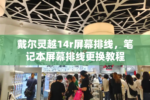 戴尔灵越14r屏幕排线，笔记本屏幕排线更换教程-第1张图片-星选测评