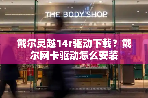 戴尔灵越14r驱动下载？戴尔网卡驱动怎么安装-第1张图片-星选测评