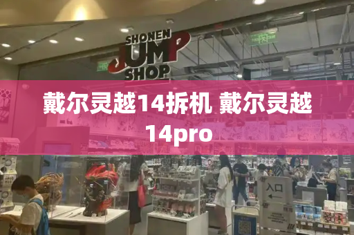 戴尔灵越14拆机 戴尔灵越14pro