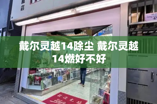 戴尔灵越14除尘 戴尔灵越14燃好不好-第1张图片-星选测评