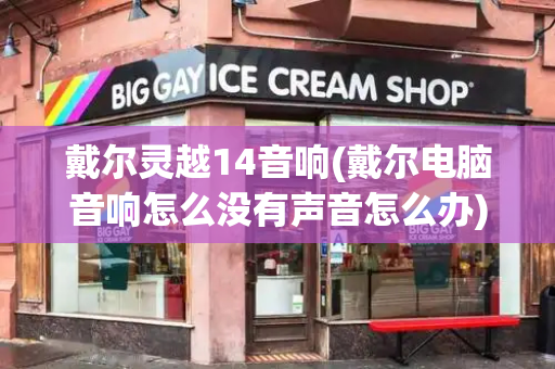戴尔灵越14音响(戴尔电脑音响怎么没有声音怎么办)