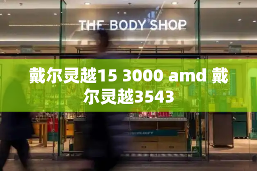 戴尔灵越15 3000 amd 戴尔灵越3543