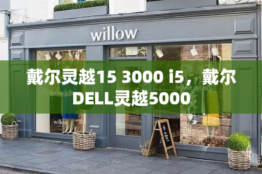 戴尔灵越15 3000 i5，戴尔DELL灵越5000-第1张图片-星选测评