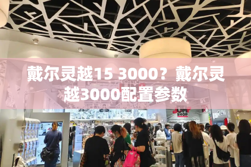 戴尔灵越15 3000？戴尔灵越3000配置参数-第1张图片-星选测评