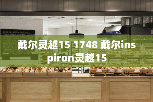 戴尔灵越15 1748 戴尔inspiron灵越15