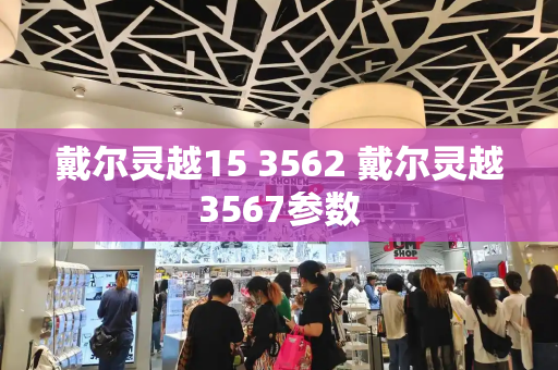 戴尔灵越15 3562 戴尔灵越3567参数-第1张图片-星选测评