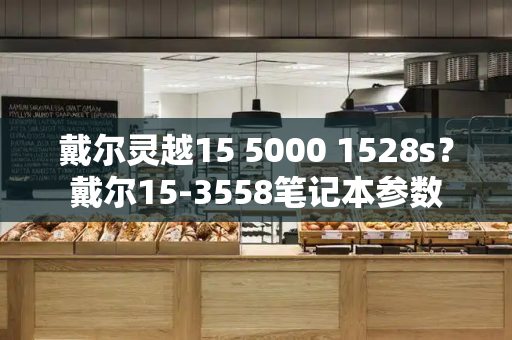 戴尔灵越15 5000 1528s？戴尔15-3558笔记本参数-第1张图片-星选测评