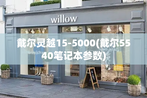 戴尔灵越15-5000(戴尔5540笔记本参数)-第1张图片-星选测评