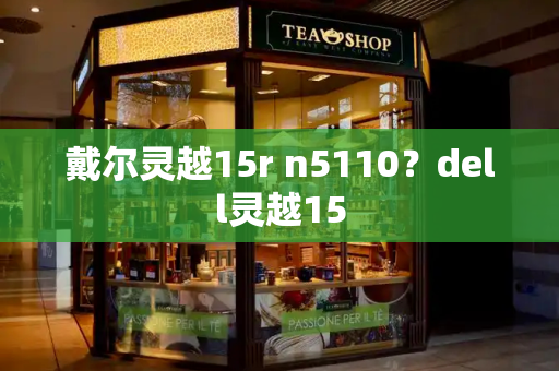 戴尔灵越15r n5110？dell灵越15-第1张图片-星选测评