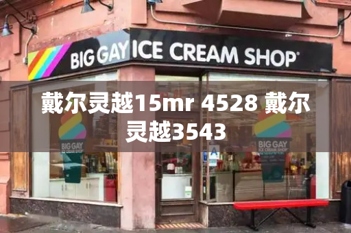 戴尔灵越15mr 4528 戴尔灵越3543