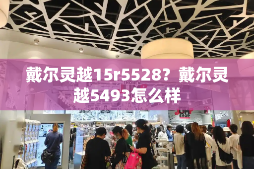 戴尔灵越15r5528？戴尔灵越5493怎么样-第1张图片-星选测评