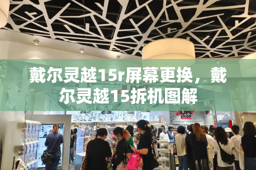 戴尔灵越15r屏幕更换，戴尔灵越15拆机图解