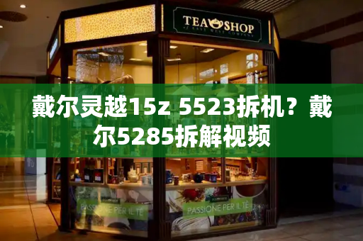 戴尔灵越15z 5523拆机？戴尔5285拆解视频