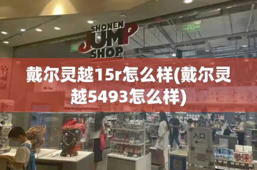 戴尔灵越15r怎么样(戴尔灵越5493怎么样)-第1张图片-星选测评