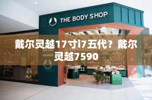 戴尔灵越17寸i7五代？戴尔灵越7590-第1张图片-星选测评