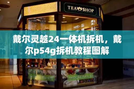 戴尔灵越24一体机拆机，戴尔p54g拆机教程图解-第1张图片-星选测评