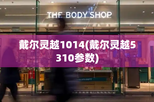 戴尔灵越1014(戴尔灵越5310参数)-第1张图片-星选测评