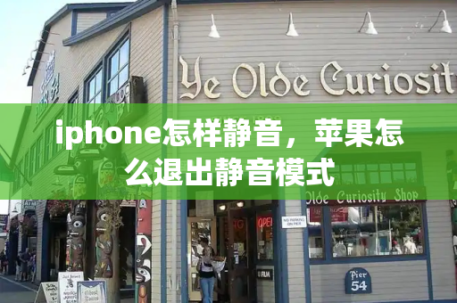 iphone怎样静音，苹果怎么退出静音模式-第1张图片-星选测评