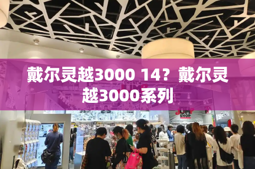 戴尔灵越3000 14？戴尔灵越3000系列-第1张图片-星选测评