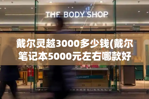 戴尔灵越3000多少钱(戴尔笔记本5000元左右哪款好)-第1张图片-星选测评