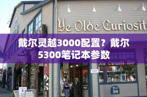 戴尔灵越3000配置？戴尔5300笔记本参数