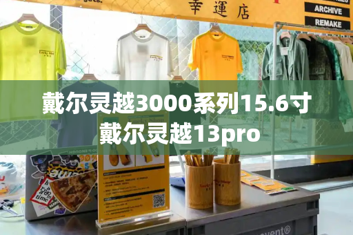 戴尔灵越3000系列15.6寸 戴尔灵越13pro