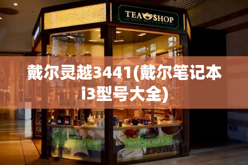 戴尔灵越3441(戴尔笔记本i3型号大全)-第1张图片-星选测评