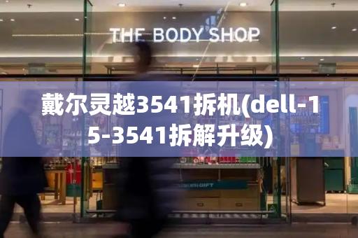 戴尔灵越3541拆机(dell-15-3541拆解升级)-第1张图片-星选测评