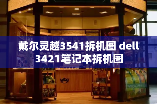 戴尔灵越3541拆机图 dell3421笔记本拆机图