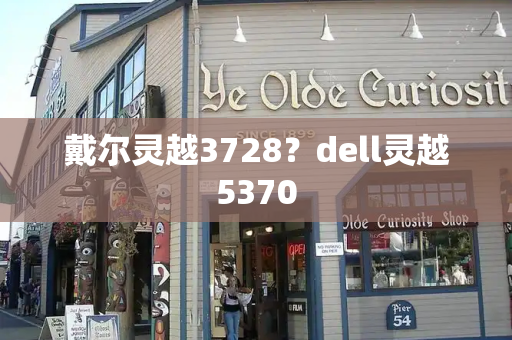 戴尔灵越3728？dell灵越5370-第1张图片-星选测评