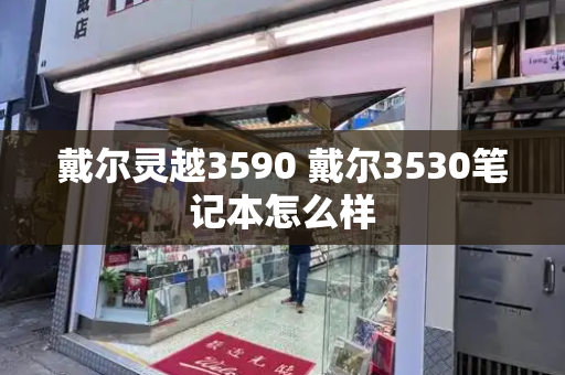 戴尔灵越3590 戴尔3530笔记本怎么样-第1张图片-星选测评