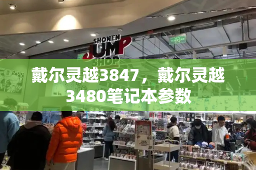 戴尔灵越3847，戴尔灵越3480笔记本参数-第1张图片-星选测评