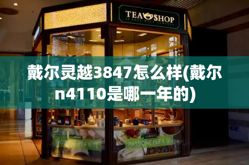 戴尔灵越3847怎么样(戴尔n4110是哪一年的)