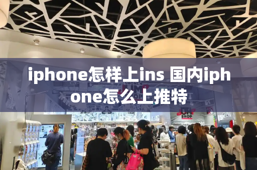 iphone怎样上ins 国内iphone怎么上推特