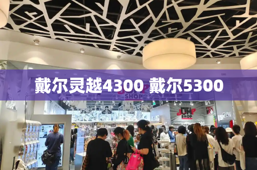 戴尔灵越4300 戴尔5300-第1张图片-星选测评