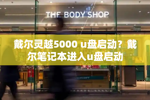 戴尔灵越5000 u盘启动？戴尔笔记本进入u盘启动-第1张图片-星选测评