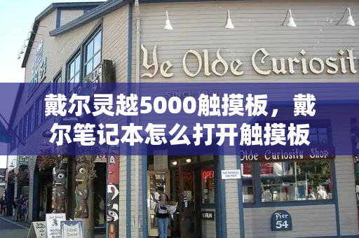 戴尔灵越5000触摸板，戴尔笔记本怎么打开触摸板