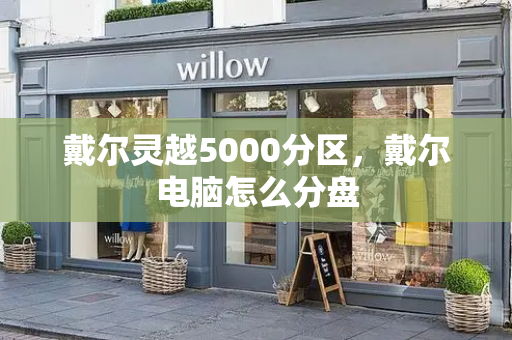 戴尔灵越5000分区，戴尔电脑怎么分盘-第1张图片-星选测评