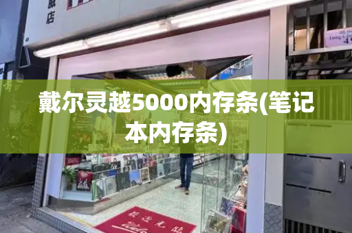 戴尔灵越5000内存条(笔记本内存条)-第1张图片-星选测评