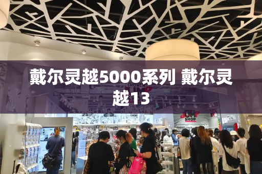 戴尔灵越5000系列 戴尔灵越13
