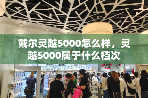 戴尔灵越5000怎么样，灵越5000属于什么档次